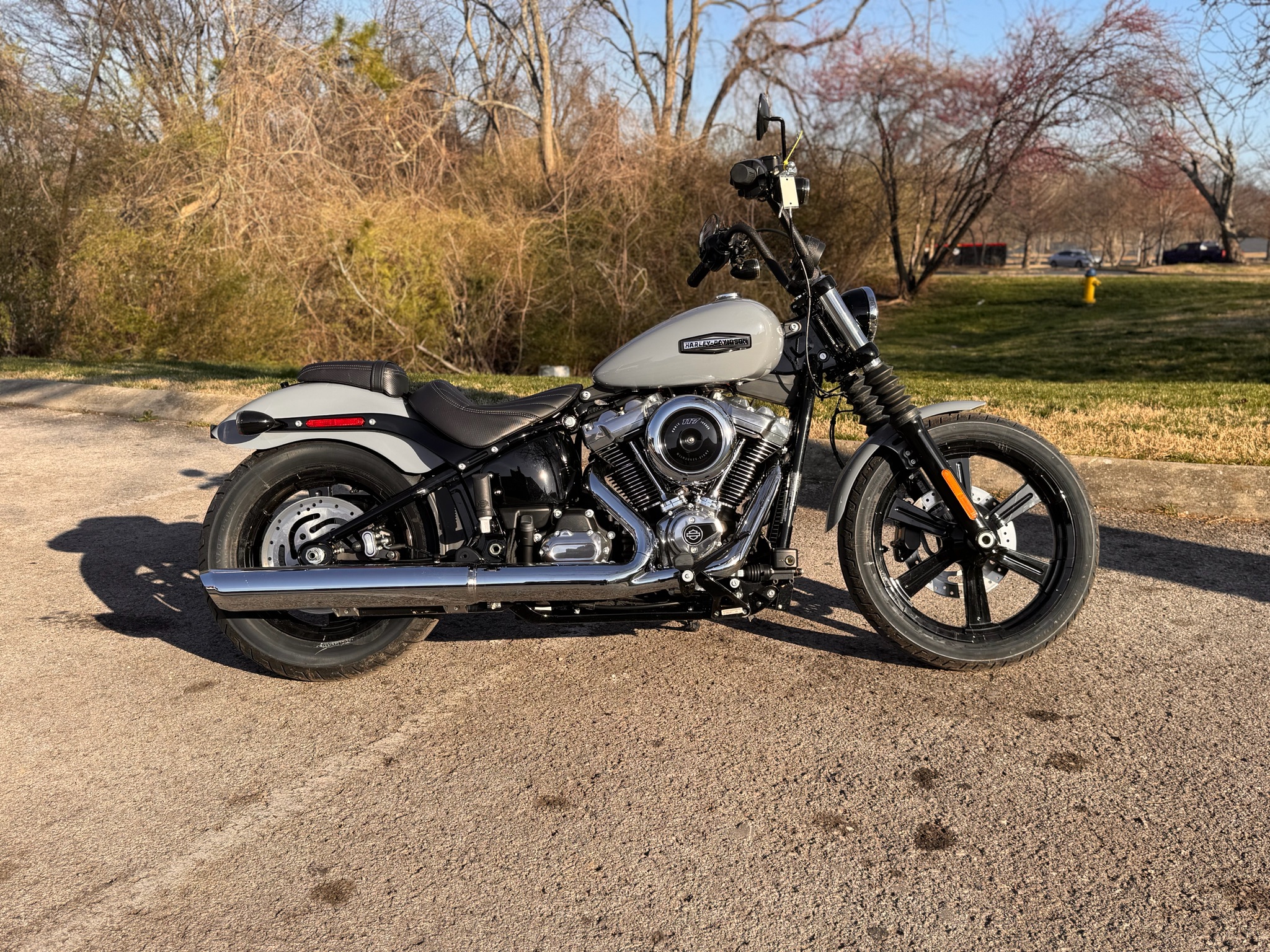 2026 Harley-Davidson Street Bob®