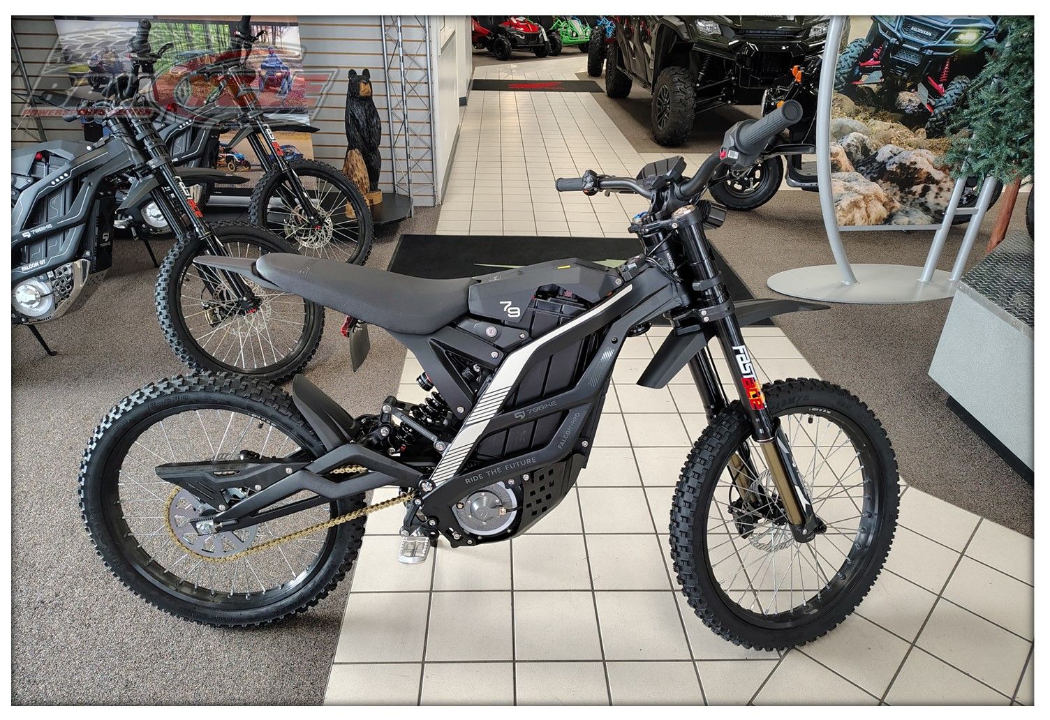 New 2025 79Bike Falcon Pro, Bay City MI | Specs, Price, Photos