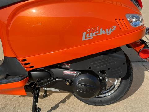 New 2024 Wolf Brand Scooters Wolf Lucky II Orange | Scooters