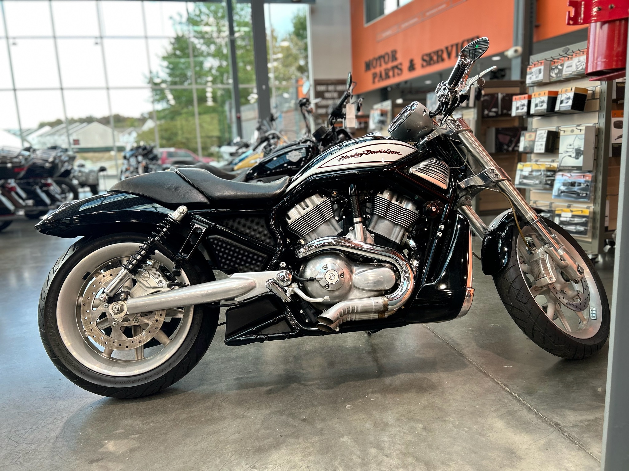 2006 Harley-Davidson V-Rod® for sale 1214703