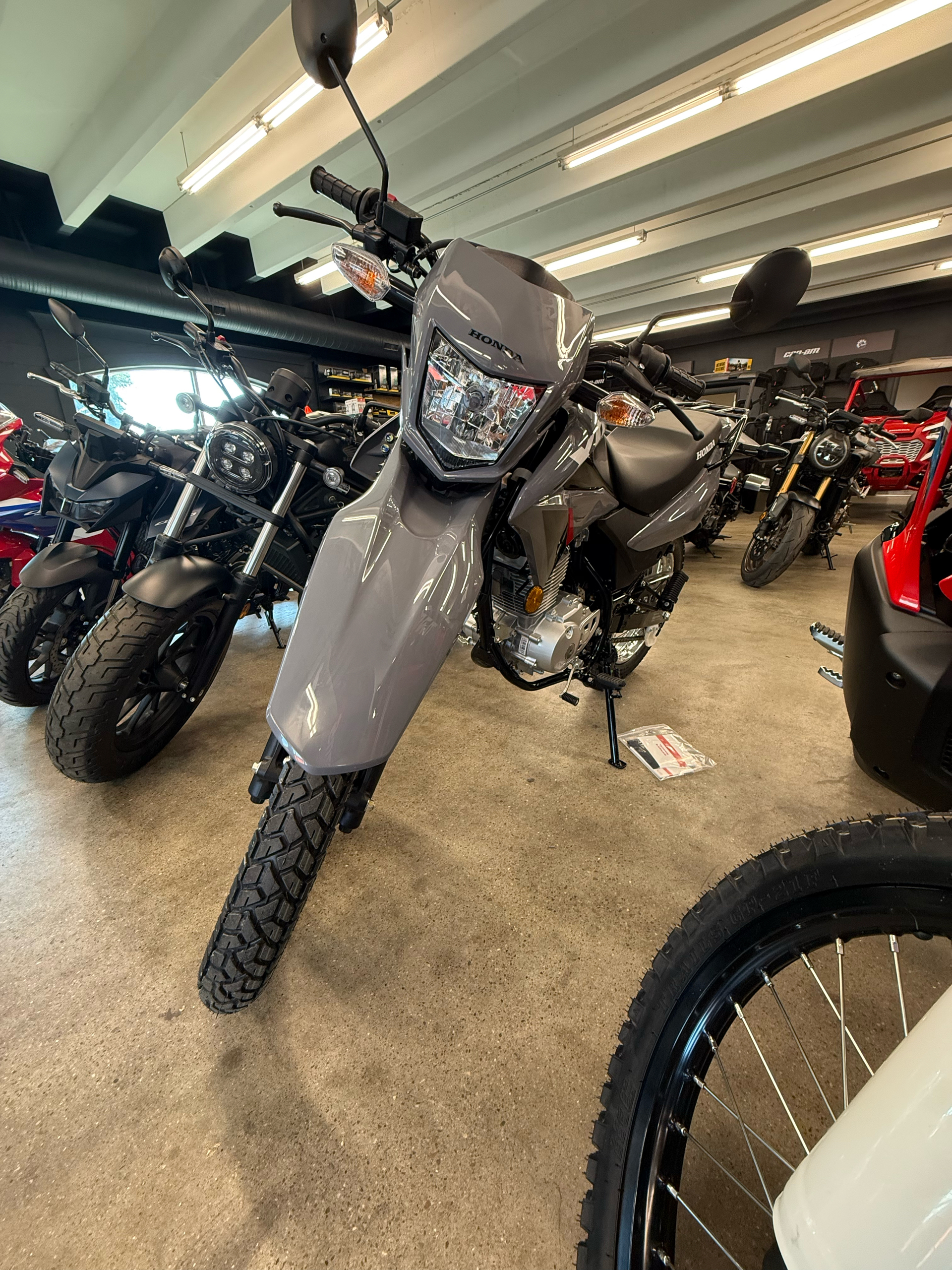 2026 Honda XR 150L for sale 1258636