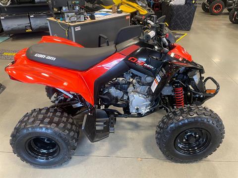 2025 Can-Am DS 250 in Vernon, Connecticut