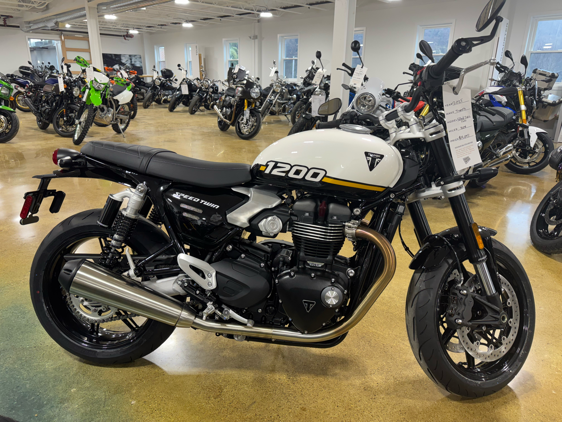 レア 3G BIKES Daytona レア 3G BIKES Daytona 3G Bikes Super Lightweight Men's Beach