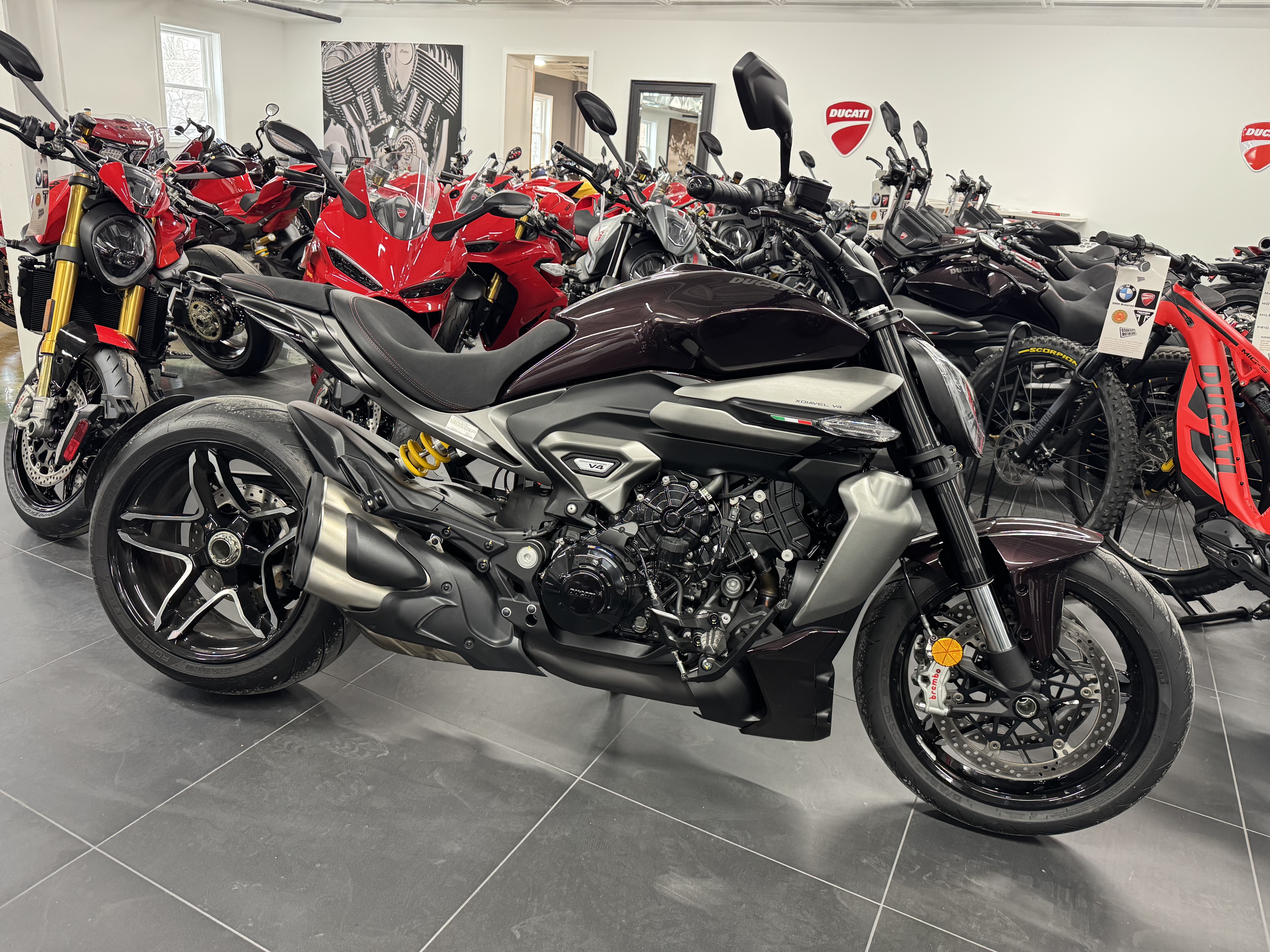 2026 Ducati XDiavel V4 Motorcycles Bala Cynwyd Pennsylvania D001353