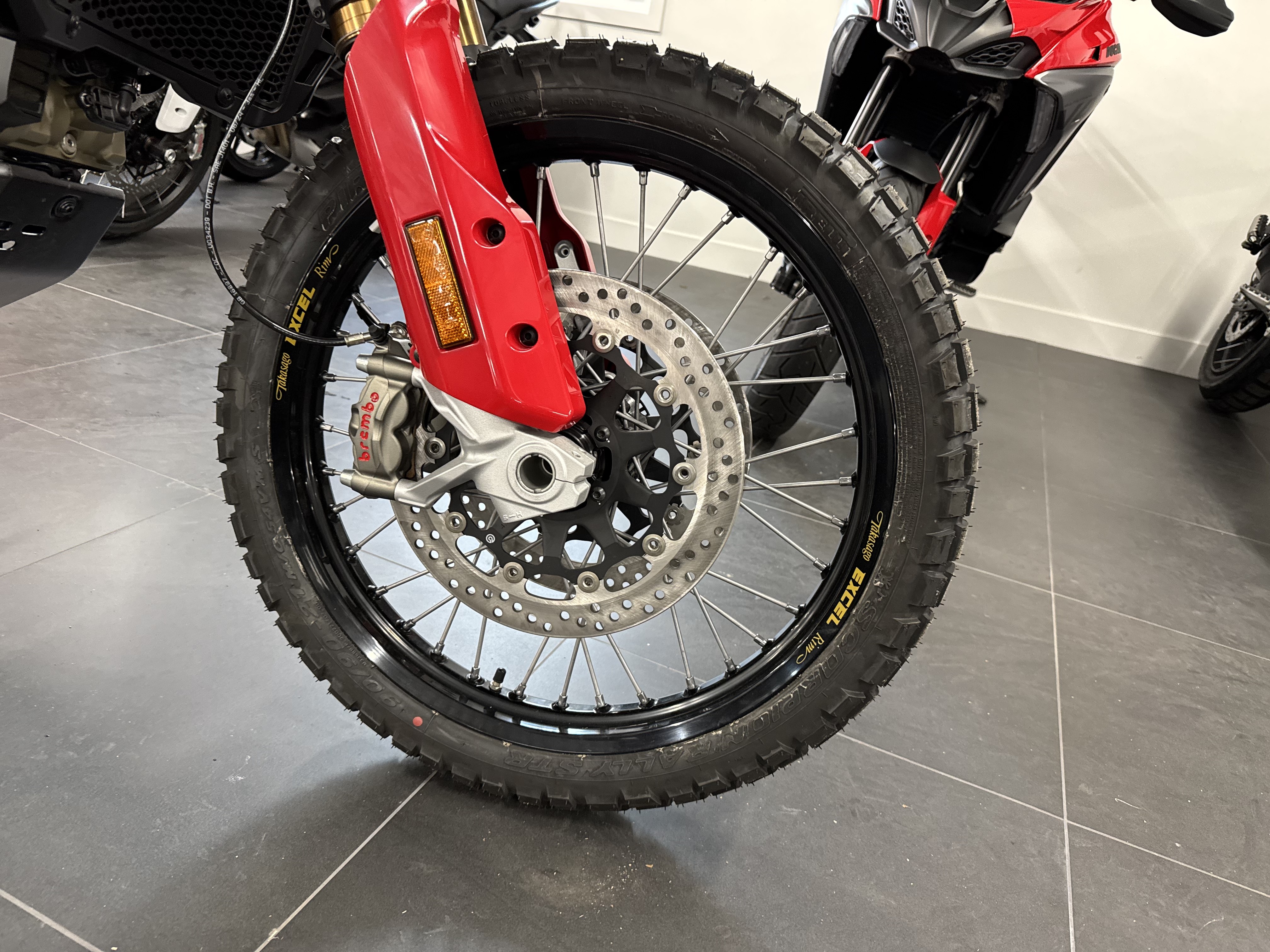 2025 Ducati DesertX Rally Motorcycles Bala Cynwyd Pennsylvania D012295