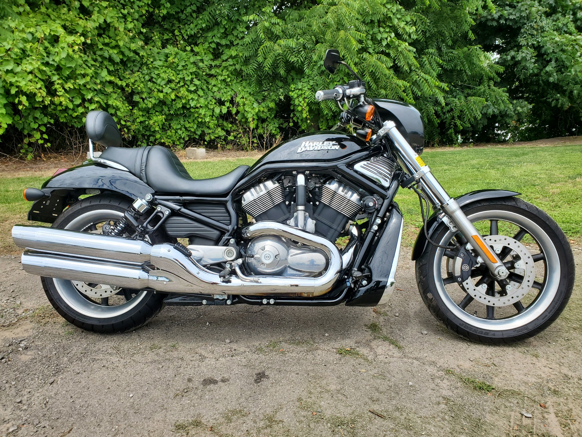 Clymer HarleyDavidson VRSCシリーズ 2002-2007 2002 Harley-Davidson V-Rod for sale on BaT Auctions - sold
