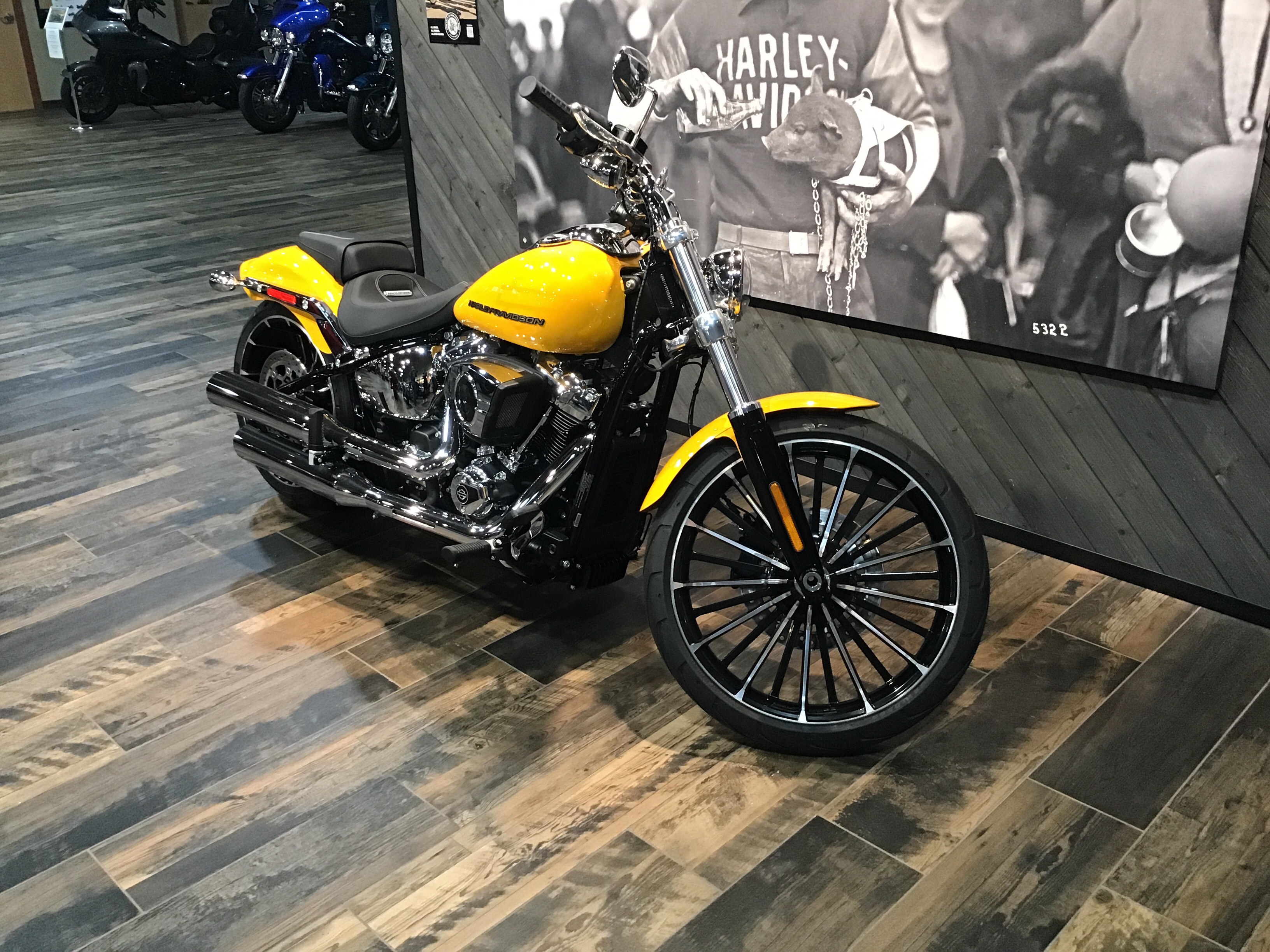 2025 Harley-Davidson Breakout® 2