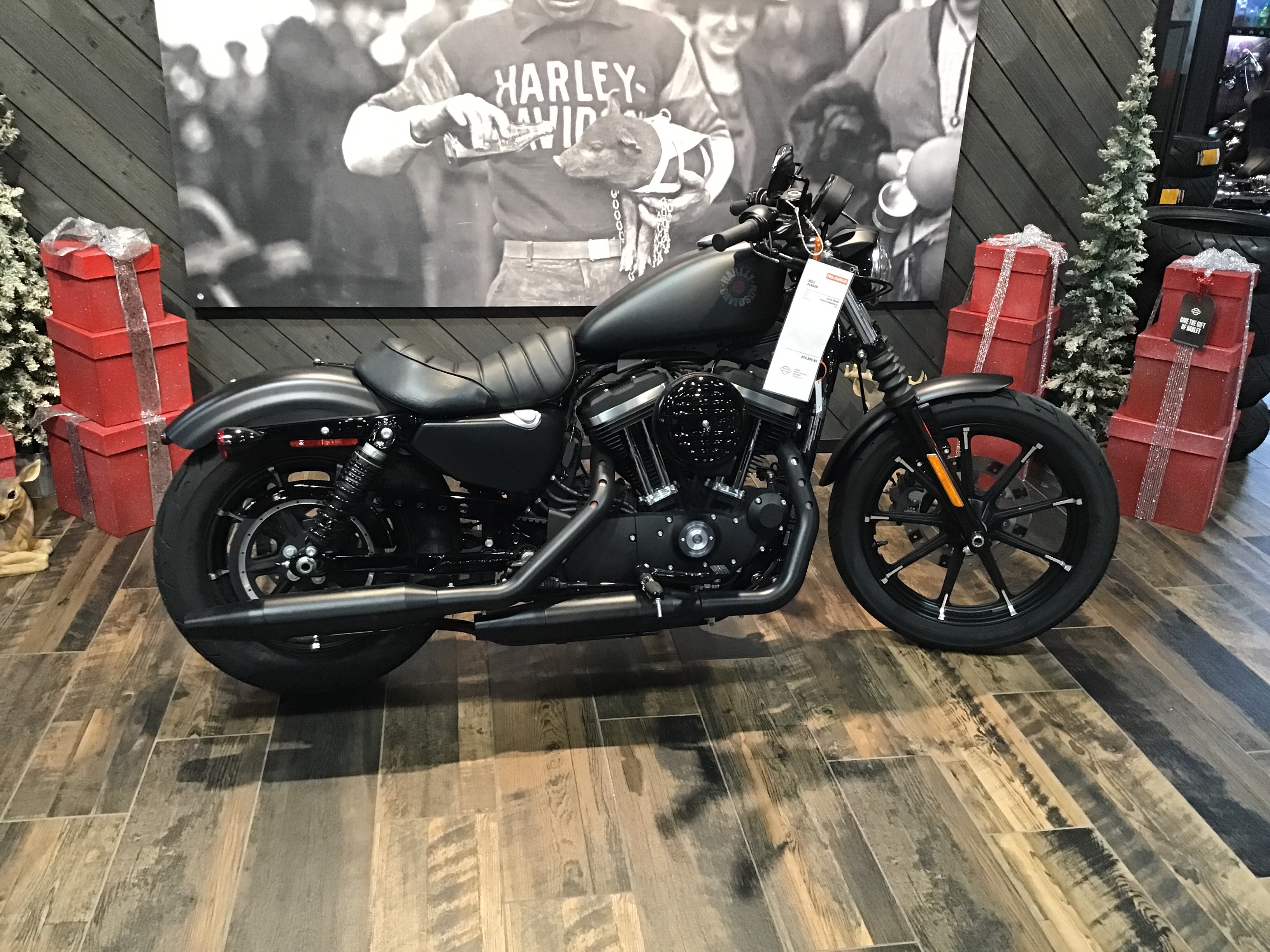 2022 Harley-Davidson Iron 883 1