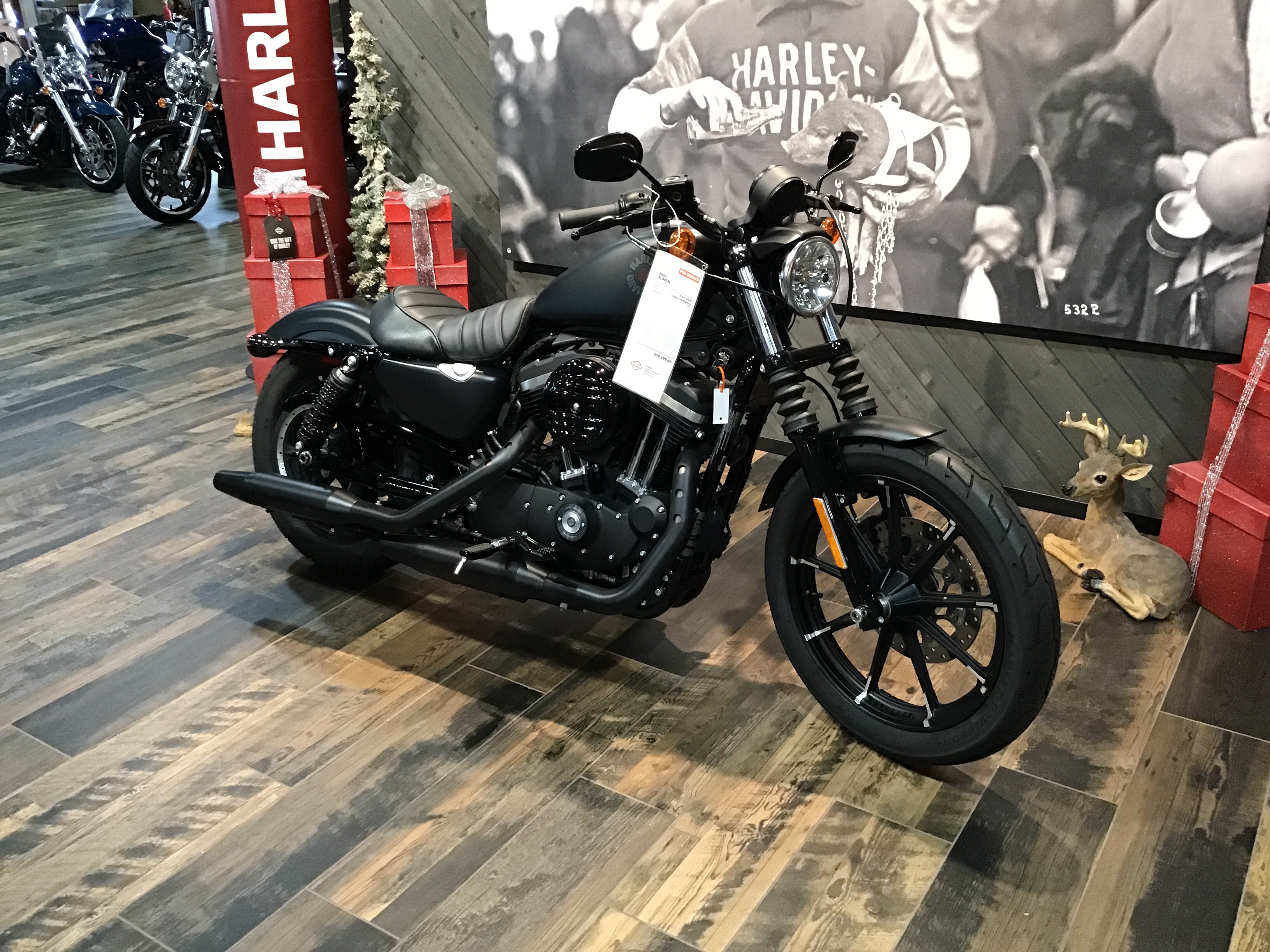 2022 Harley-Davidson Iron 883 2