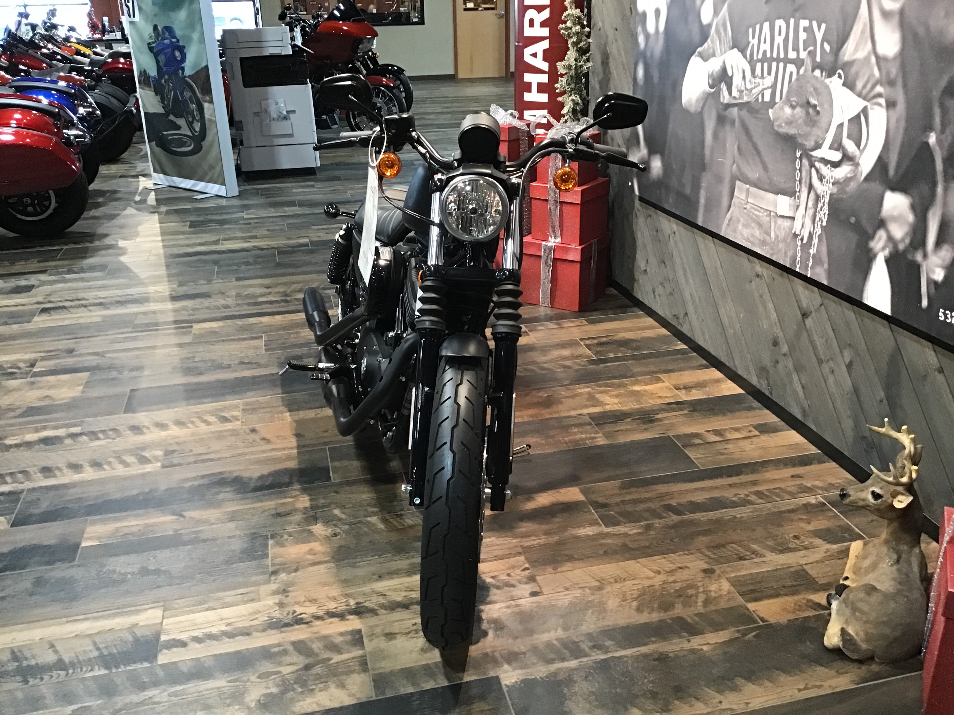 2022 Harley-Davidson Iron 883 3