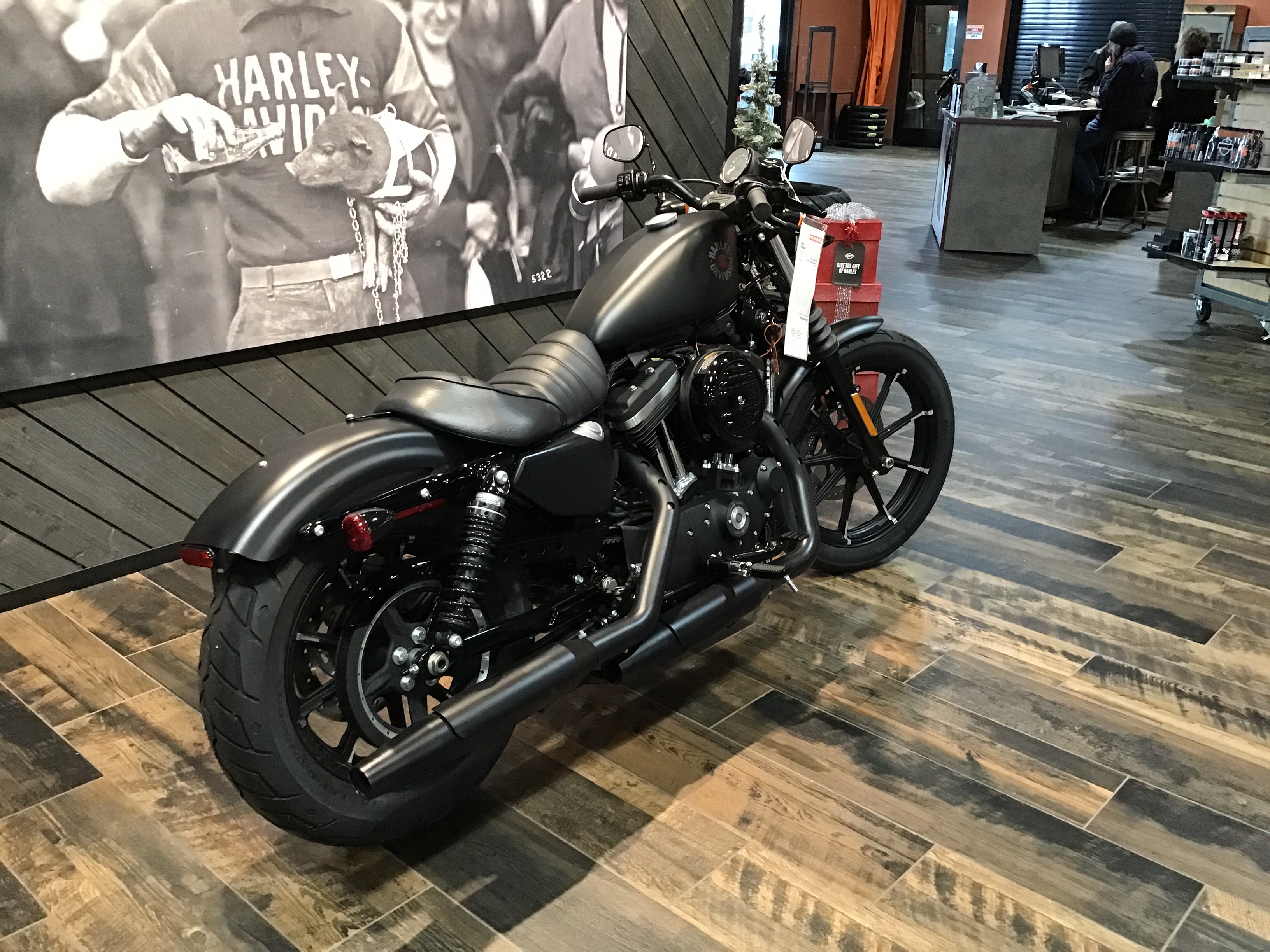 2022 Harley-Davidson Iron 883 4