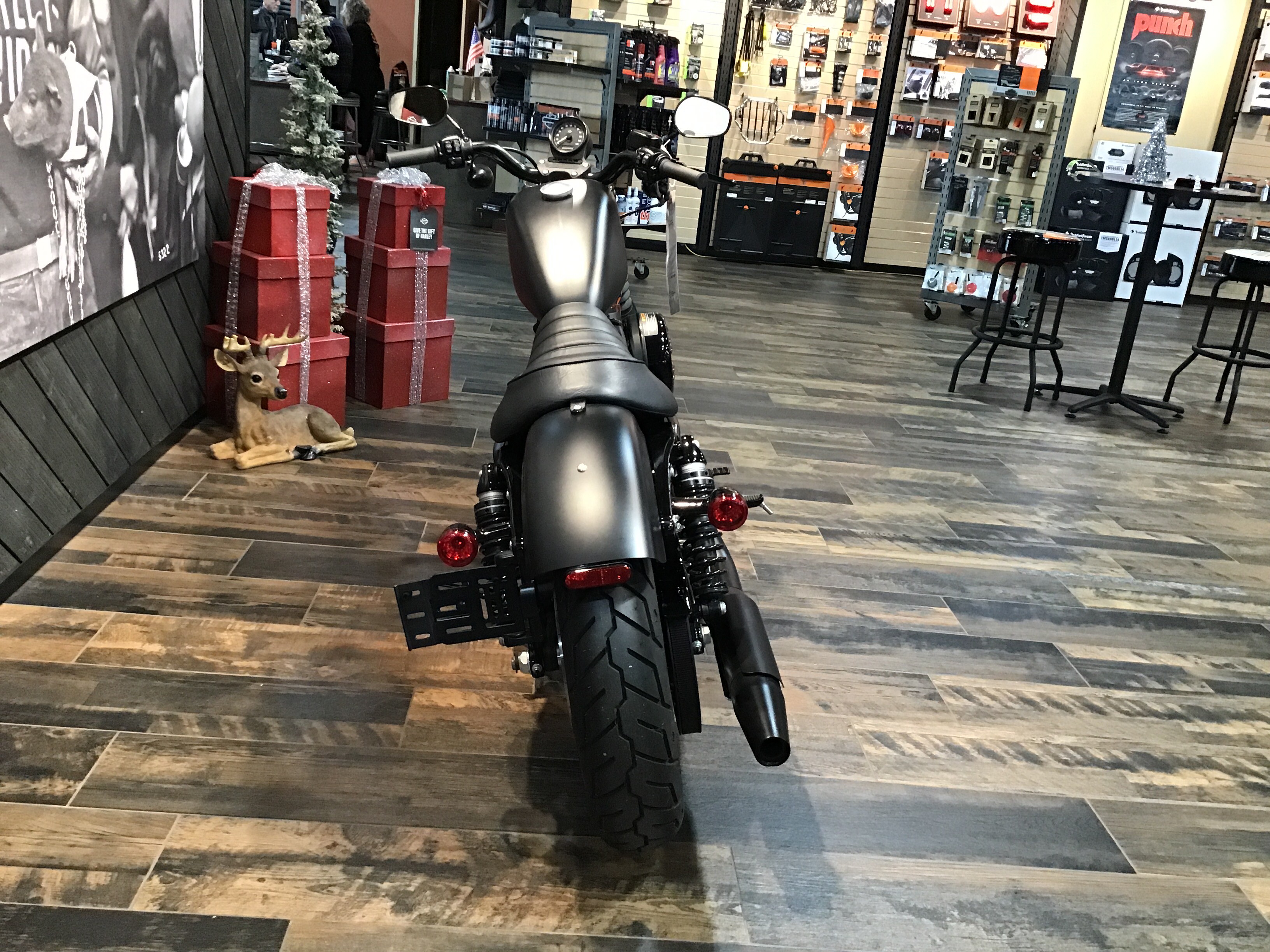 2022 Harley-Davidson Iron 883 5