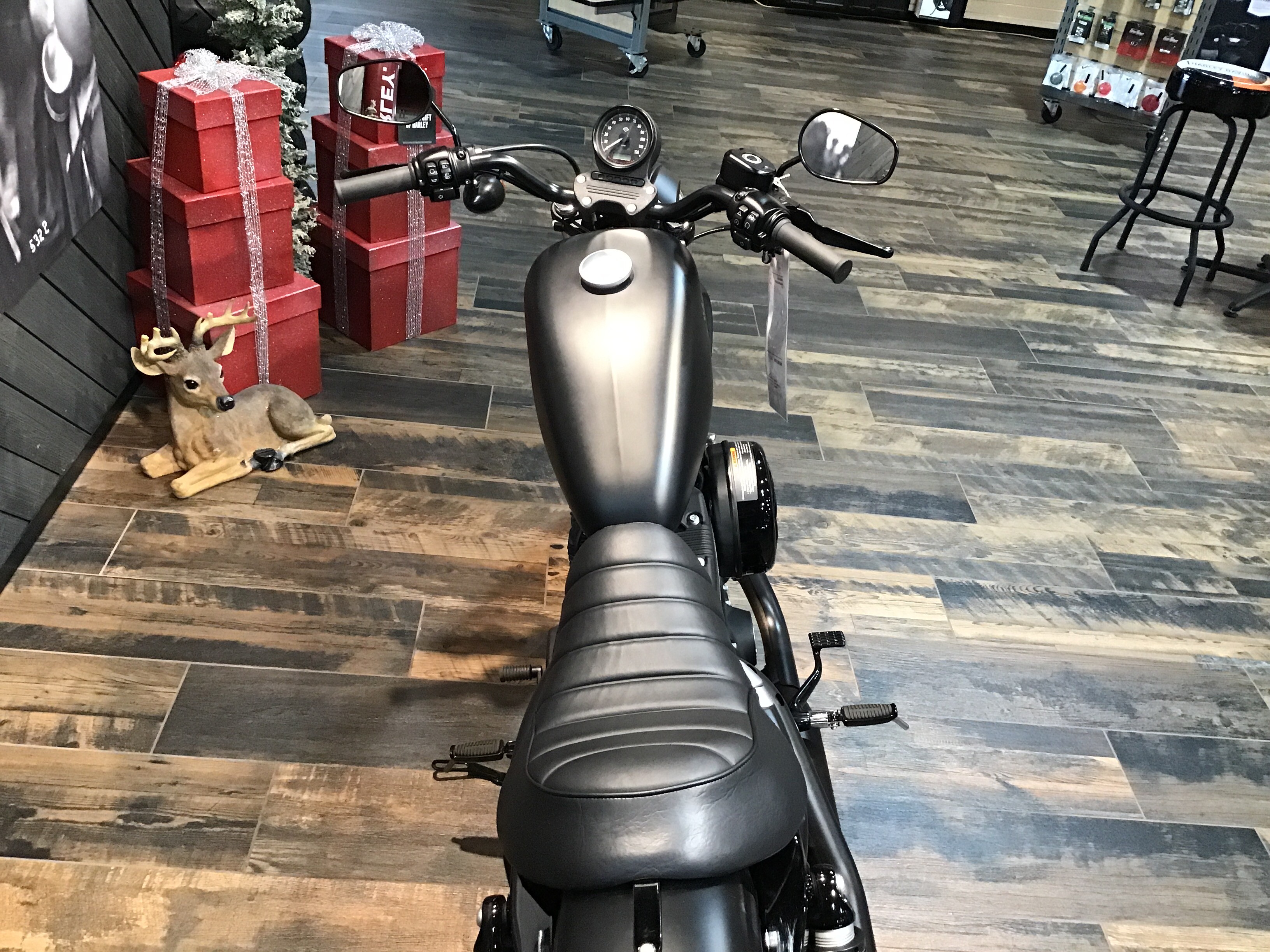 2022 Harley-Davidson Iron 883 6