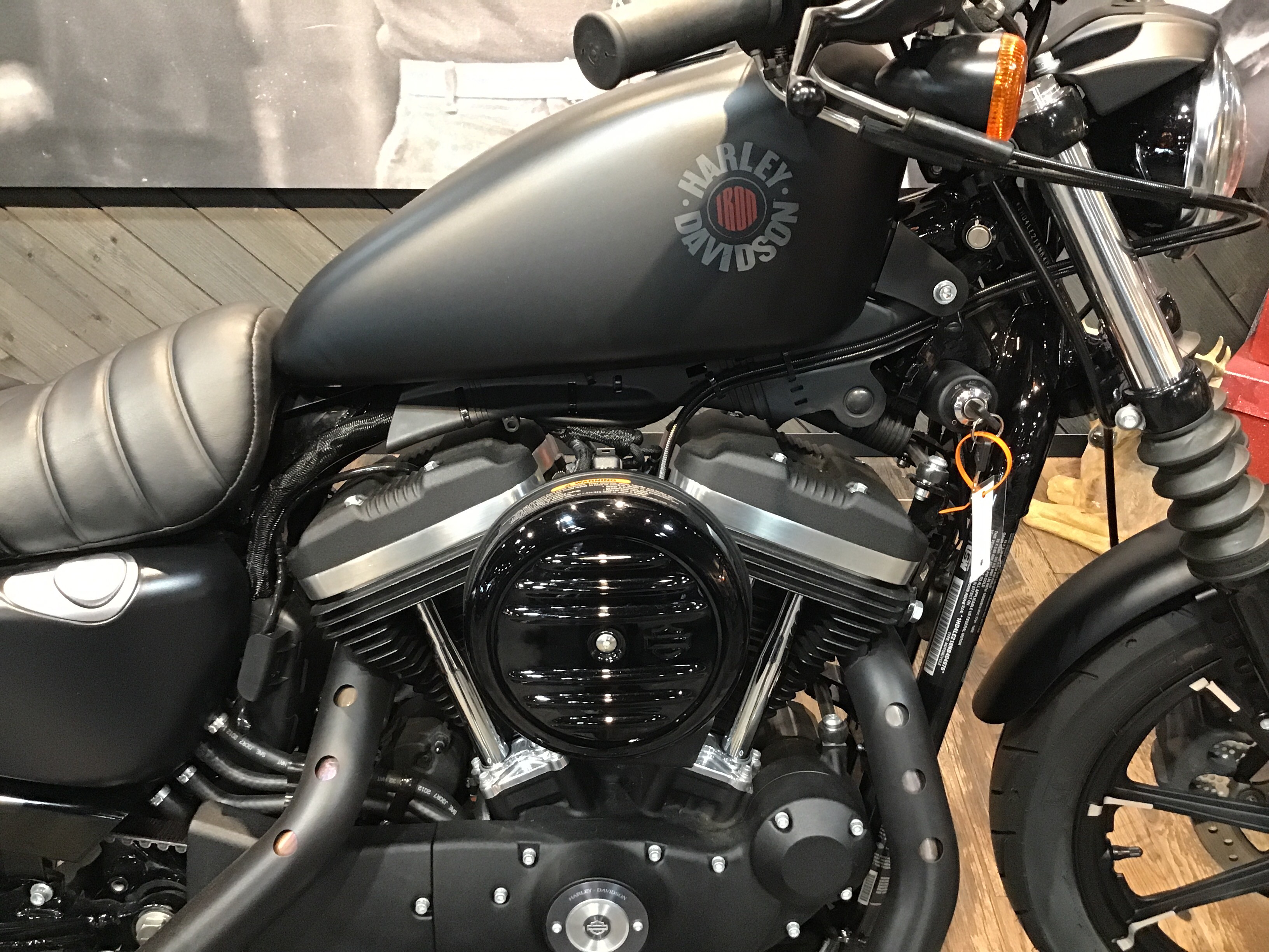 2022 Harley-Davidson Iron 883 8