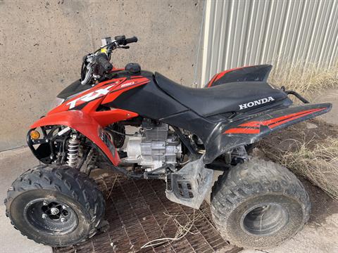2024 Honda TRX250X — photo 1 of 16