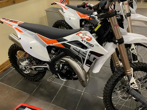 New 2022 Kayo KT 250, Ridgeland MS | Specs, Price, Photos | White