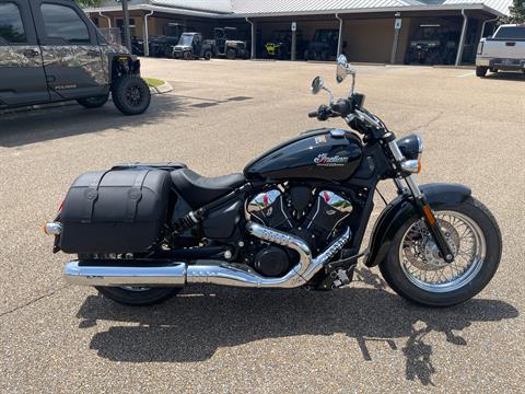 2025 Indian Scout Classic