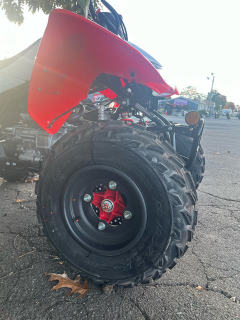 2026 Honda TRX250X in West Bridgewater, Massachusetts - Photo 3