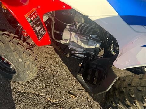 2026 Honda TRX250X in West Bridgewater, Massachusetts - Photo 5