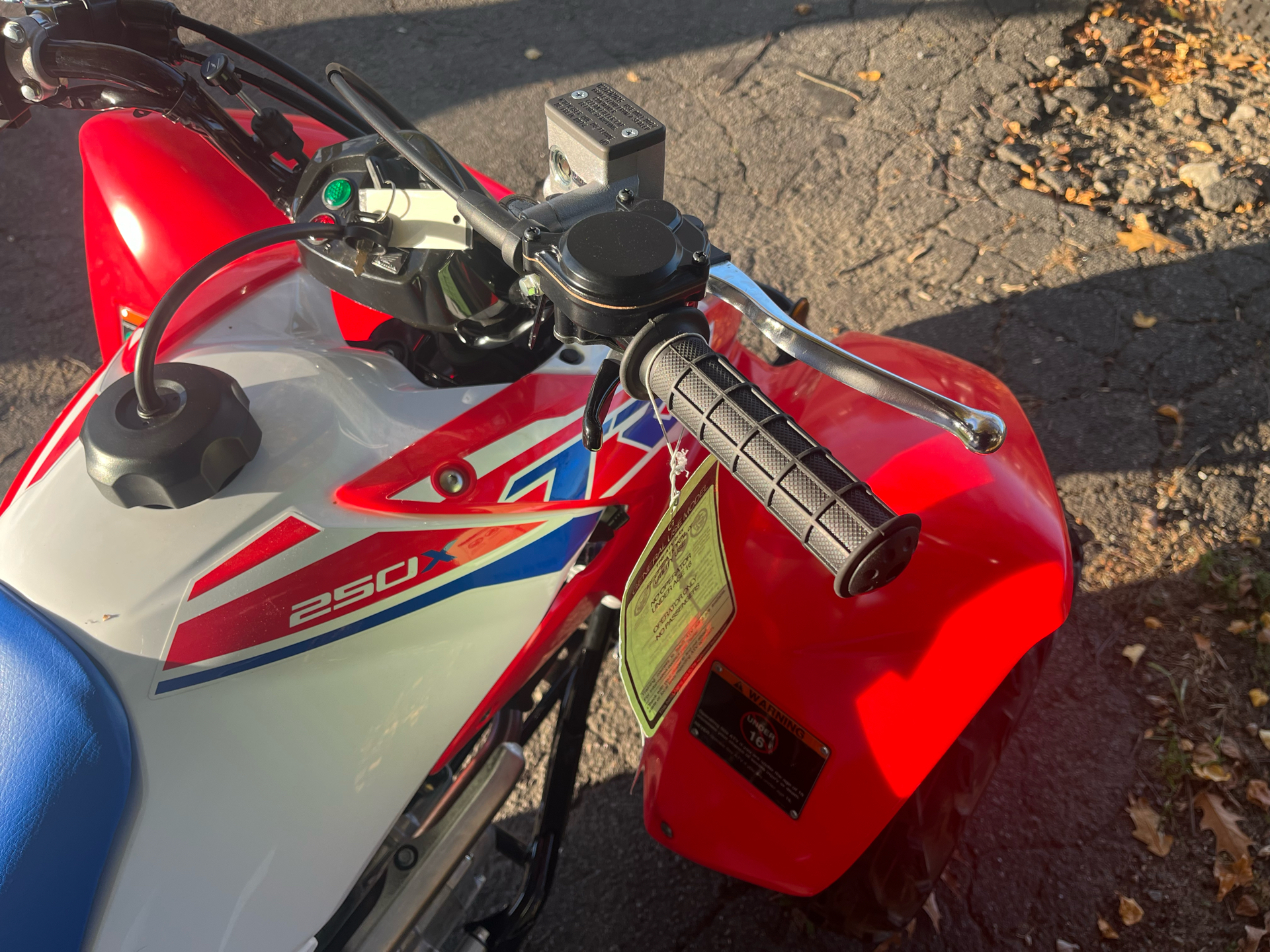 2026 Honda TRX250X in West Bridgewater, Massachusetts - Photo 10