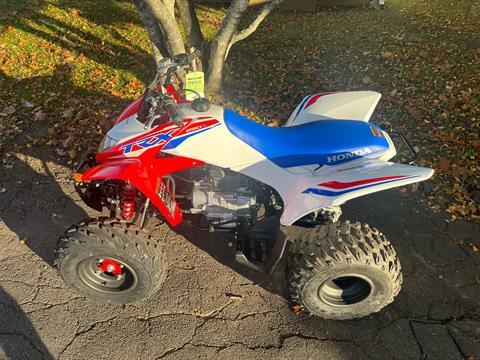 2026 Honda TRX250X in West Bridgewater, Massachusetts - Photo 11