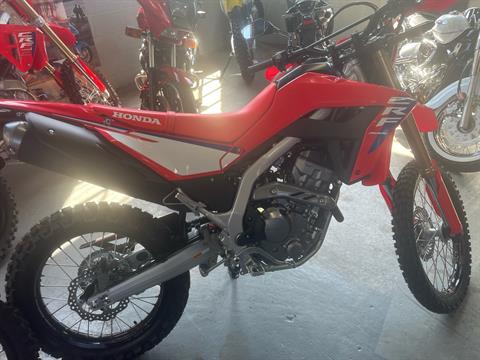 2025 Honda CRF300L ABS in West Bridgewater, Massachusetts - Photo 1