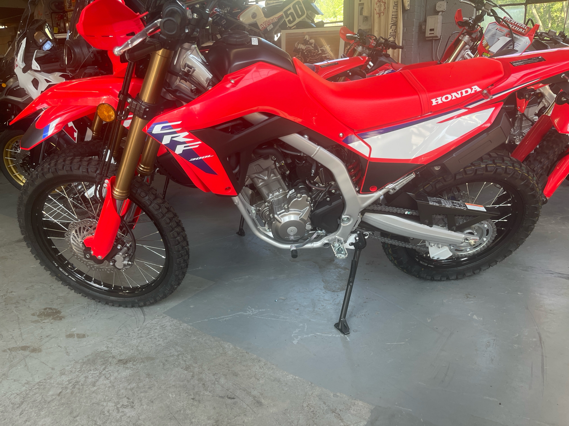 2025 Honda CRF300L ABS in West Bridgewater, Massachusetts - Photo 8