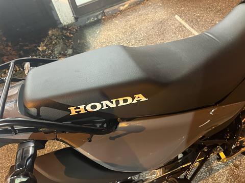 2025 Honda XR150L in West Bridgewater, Massachusetts - Photo 4