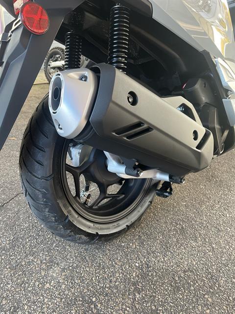 2025 Honda PCX in West Bridgewater, Massachusetts - Photo 6