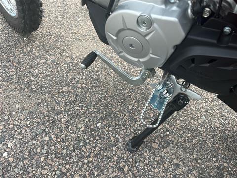 2024 Honda CRF110F in West Bridgewater, Massachusetts - Photo 10