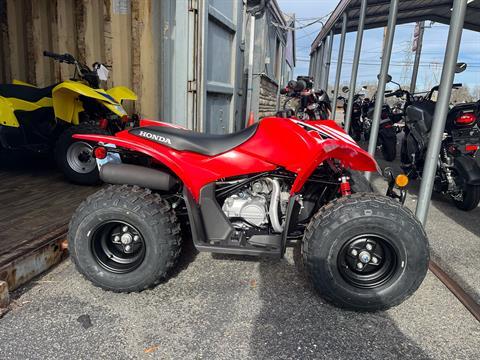 2025 Honda TRX90X in West Bridgewater, Massachusetts - Photo 1