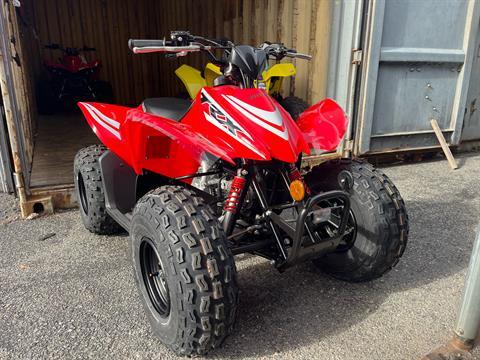 2025 Honda TRX90X in West Bridgewater, Massachusetts - Photo 3