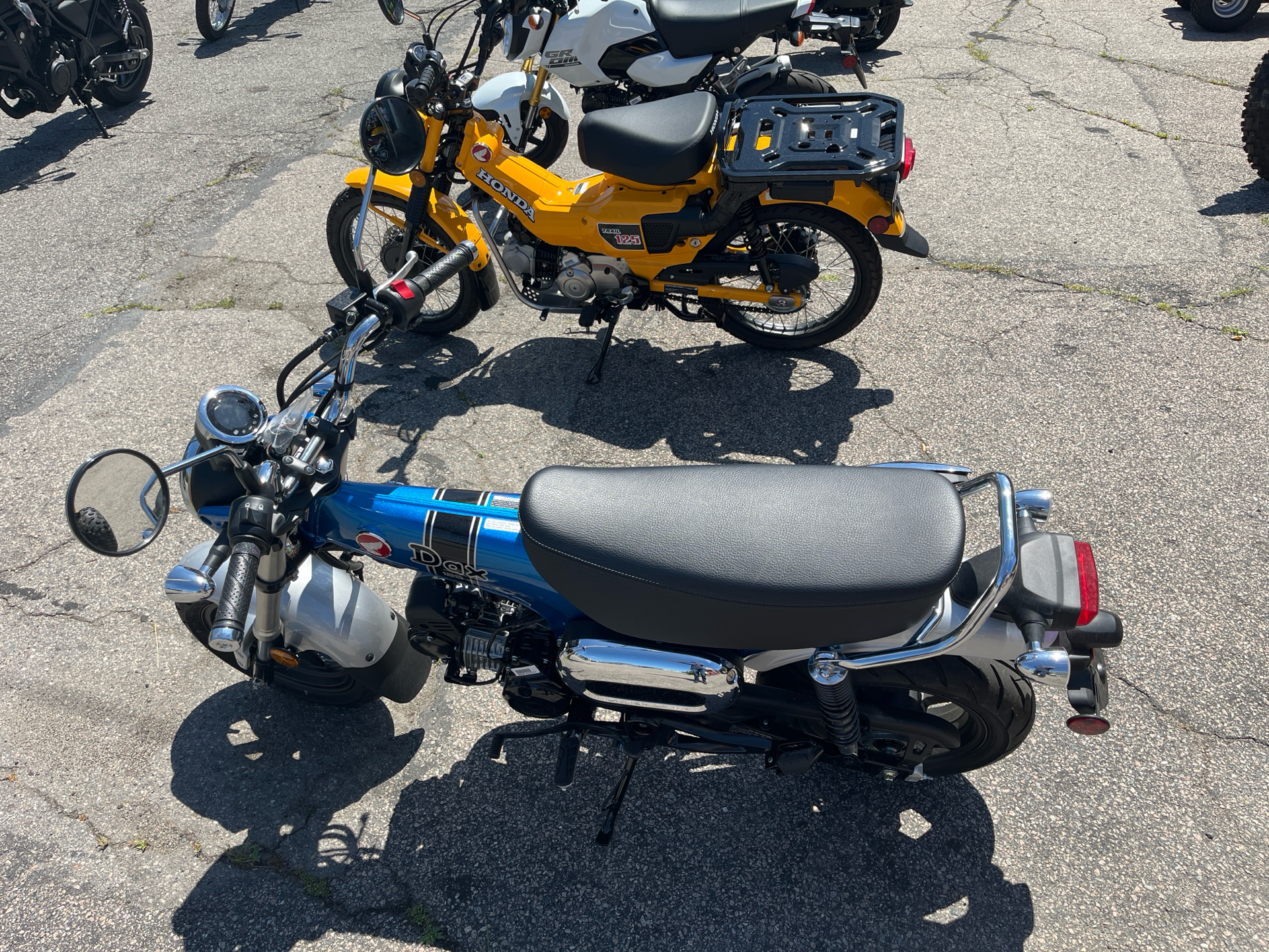 2025 Honda Dax 125 in West Bridgewater, Massachusetts - Photo 8
