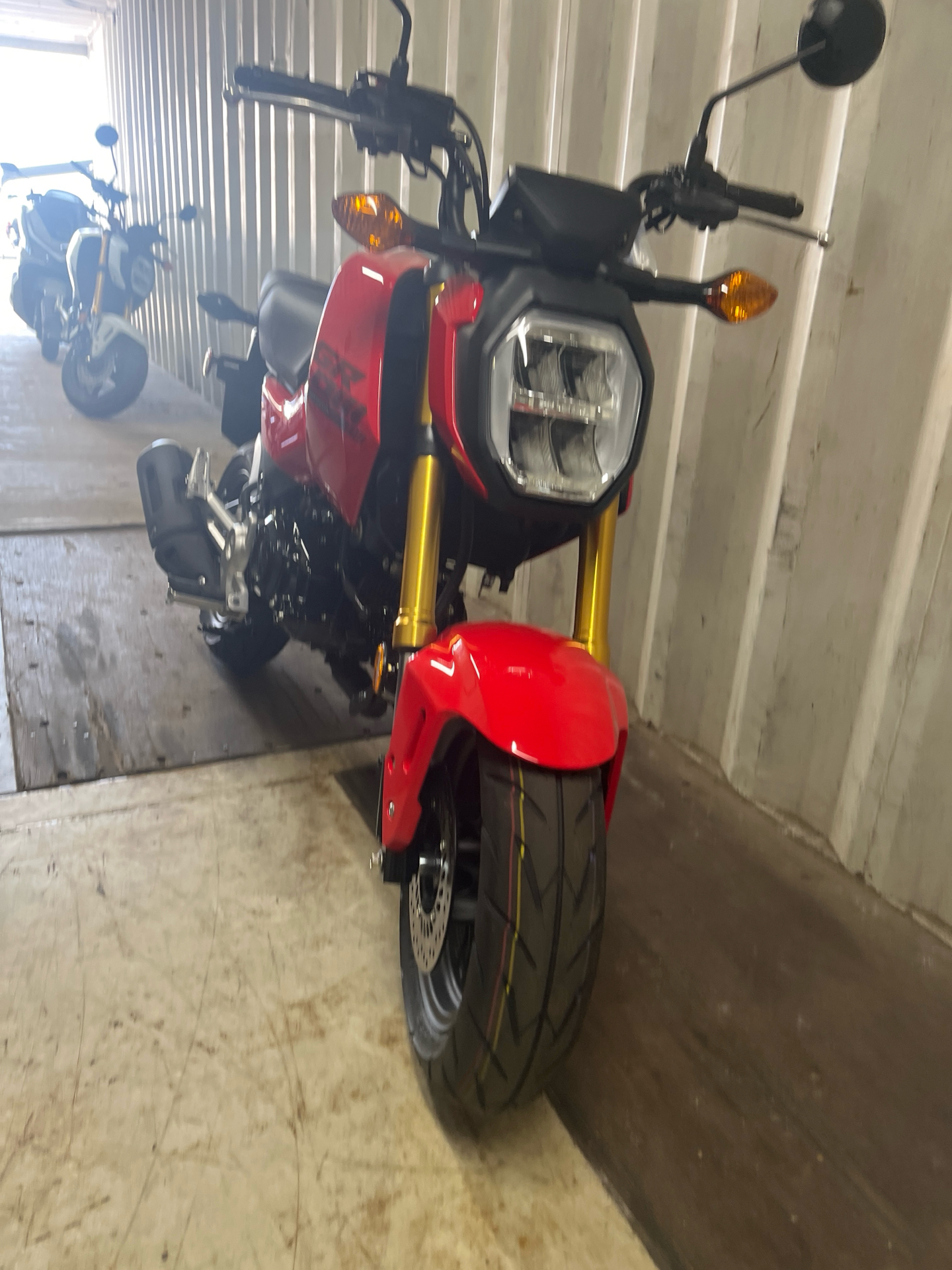 2026 Honda Grom in West Bridgewater, Massachusetts - Photo 4