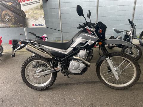 2025 Yamaha XT250 in West Bridgewater, Massachusetts - Photo 1