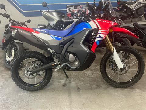 2025 Honda CRF300L Rally ABS in West Bridgewater, Massachusetts - Photo 1