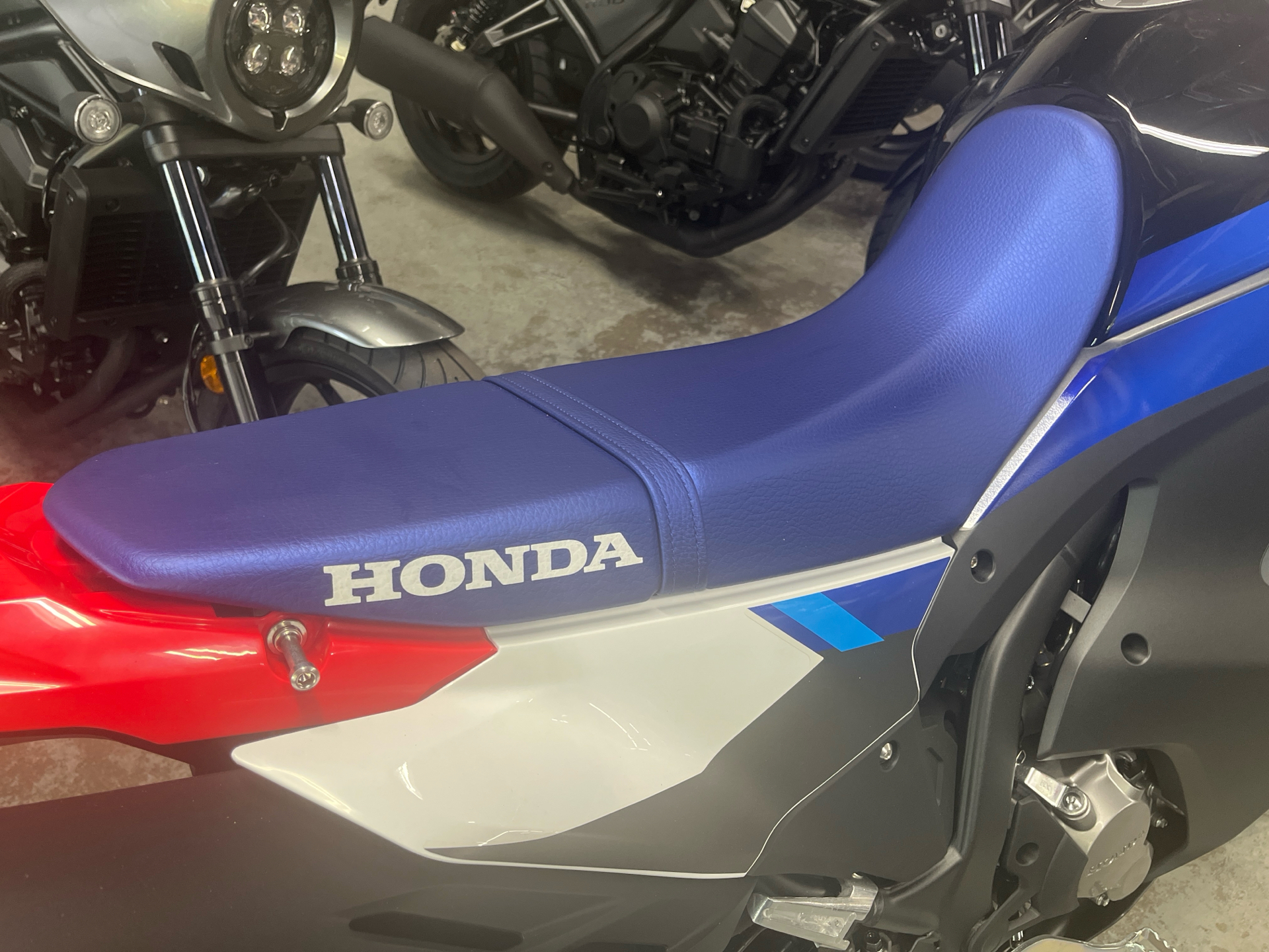 2025 Honda CRF300L Rally ABS in West Bridgewater, Massachusetts - Photo 3
