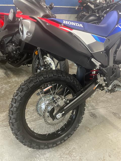 2025 Honda CRF300L Rally ABS in West Bridgewater, Massachusetts - Photo 4