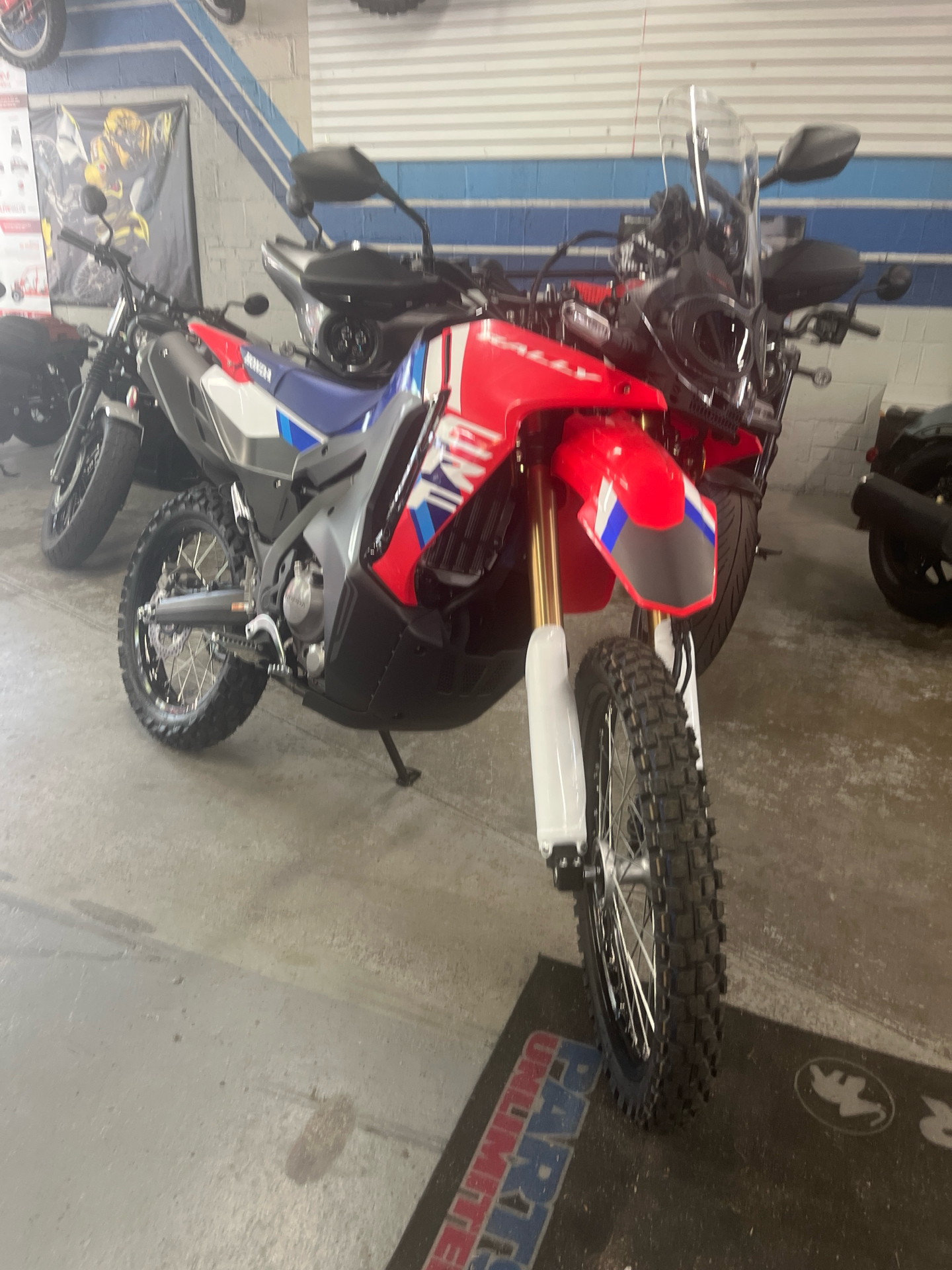 2025 Honda CRF300L Rally ABS in West Bridgewater, Massachusetts - Photo 6
