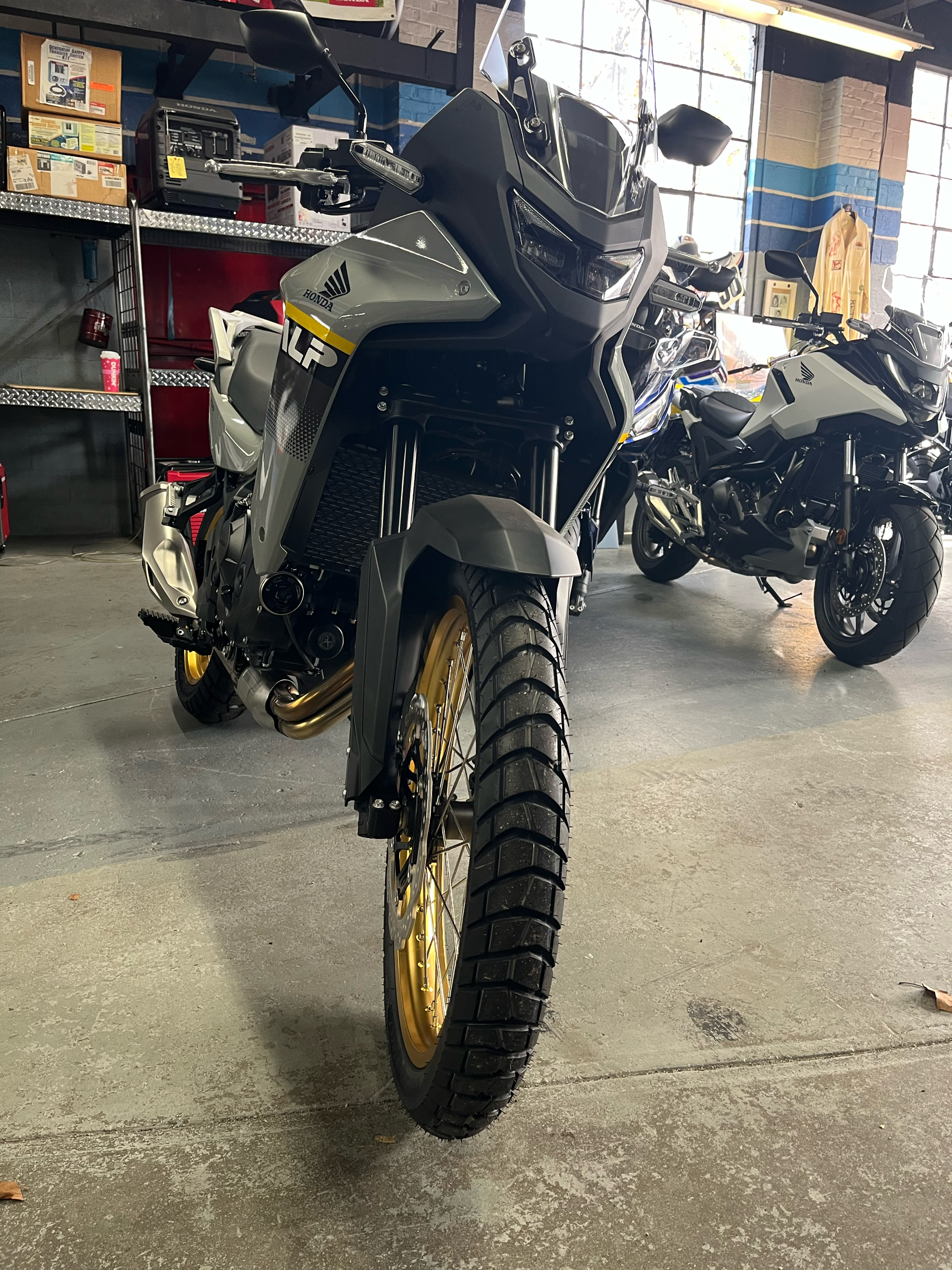 2025 Honda Transalp in West Bridgewater, Massachusetts - Photo 3