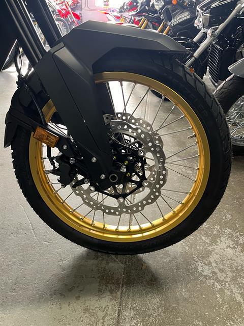 2025 Honda Transalp in West Bridgewater, Massachusetts - Photo 4