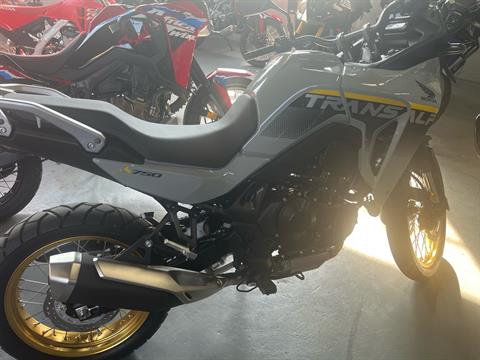 2025 Honda Transalp in West Bridgewater, Massachusetts - Photo 1