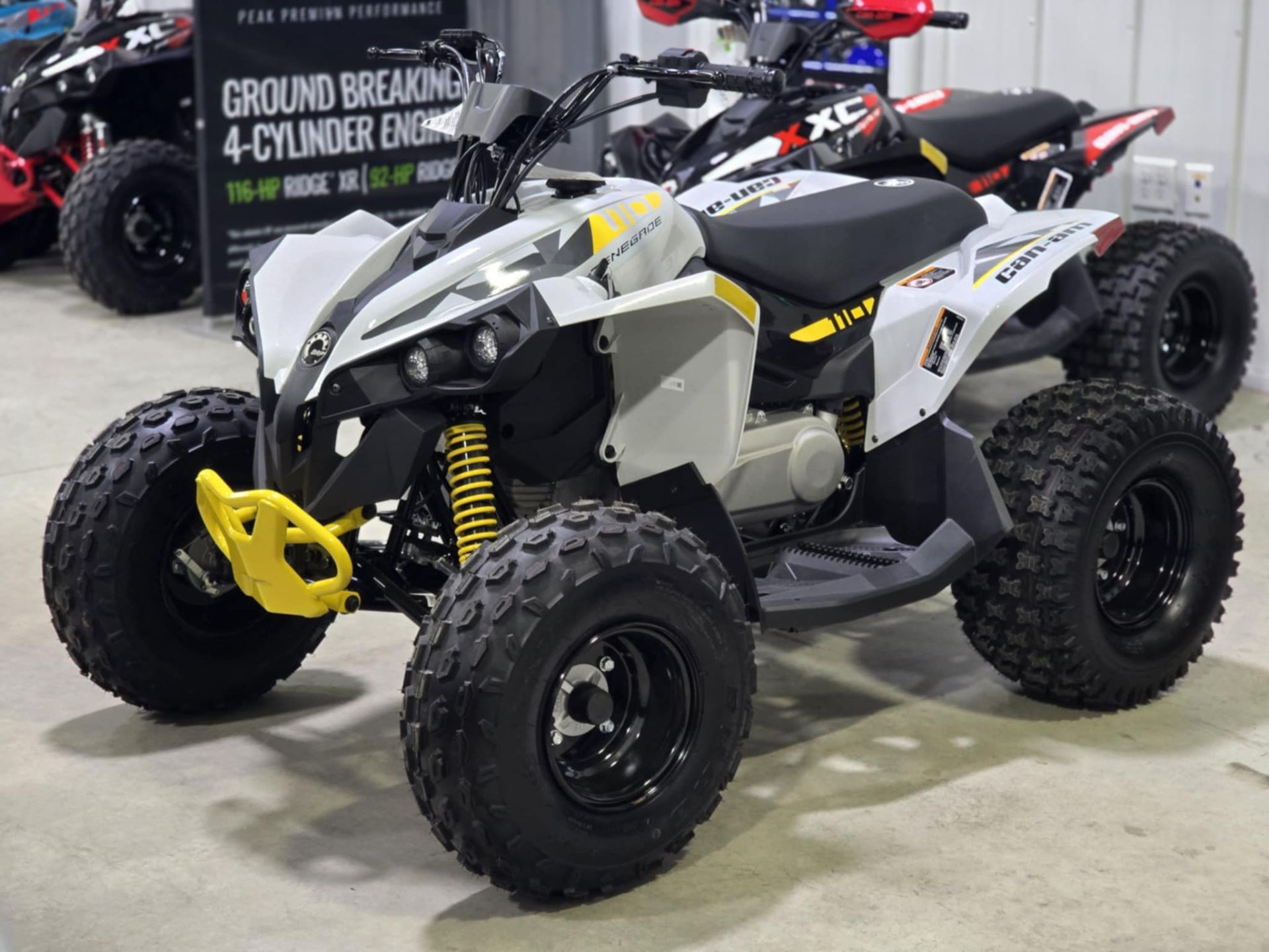 2026 Renegade 110 EFI