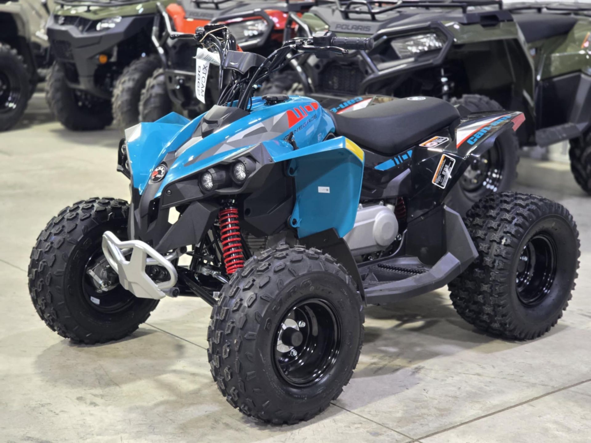 2026 Renegade 110 EFI