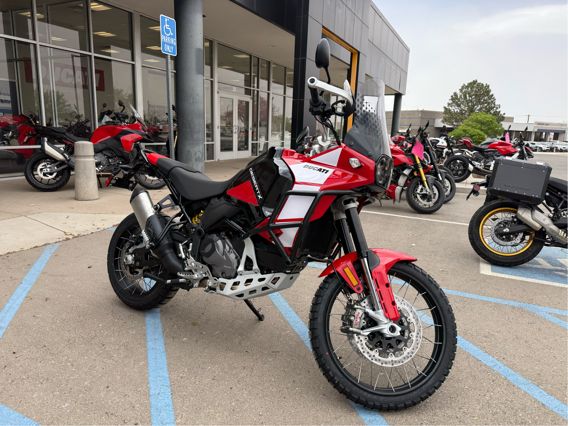 New 2025 Ducati DesertX Discovery Motorcycles in Albuquerque, NM