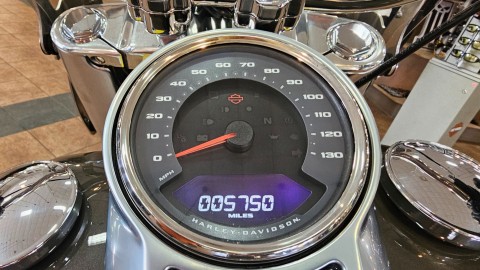 2018 Harley-Davidson Fat Boy® 114 in Trussville, Alabama - Photo 10