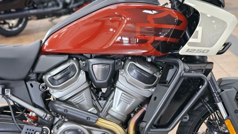 303079 2024 Harley Davidson RA1250S  Pan America 1250 Special adventure touring Red Rock Birch White - Photo 9