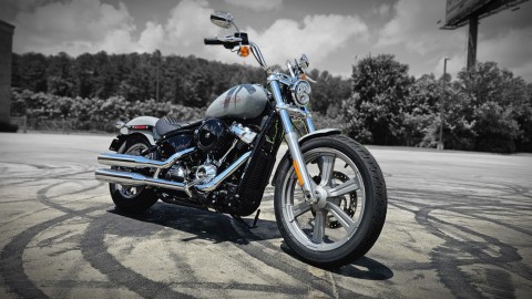 016638 2024 Harley Davidson FXST Softail Standard cruiser Billiard Gray - Photo 2