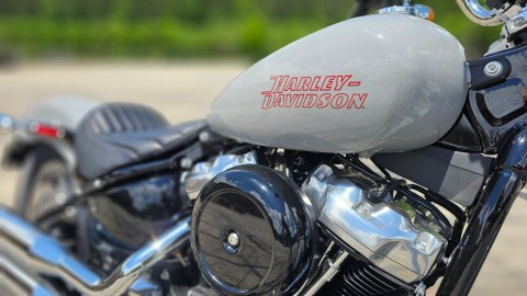 2024 Harley-Davidson Softail® Standard in Trussville, Alabama - Photo 12