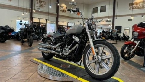 2024 Harley-Davidson Softail® Standard in Trussville, Alabama - Photo 4